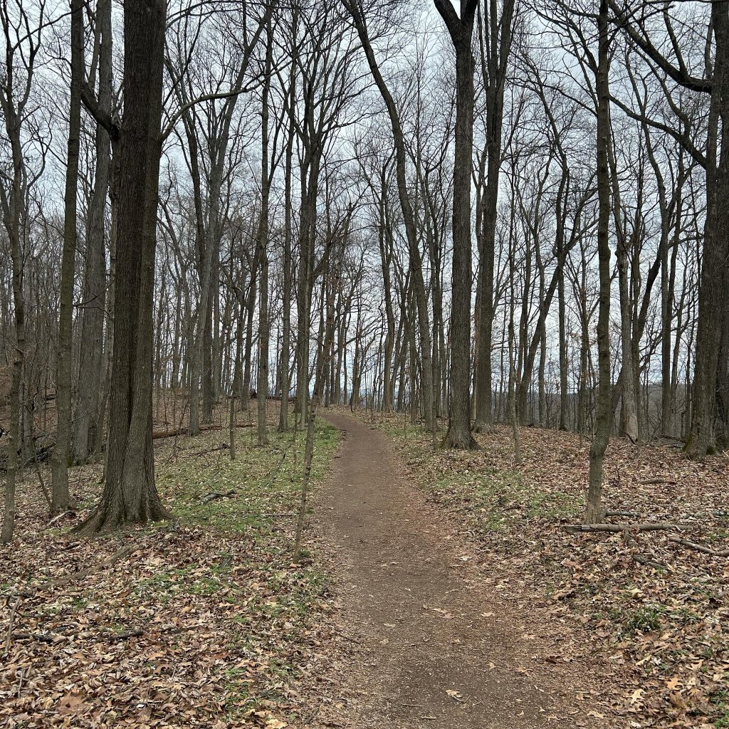 Returning to Trails – A Beautiful&nbsp;Reward